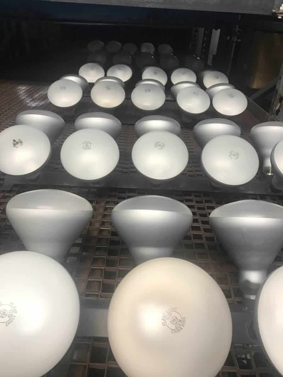 coated bulbs