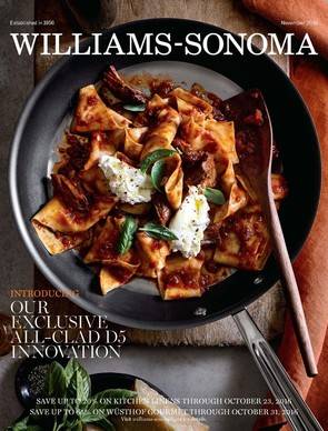 Williams-Sonoma - October 2016 Catalog - All-Clad d5 Stainless