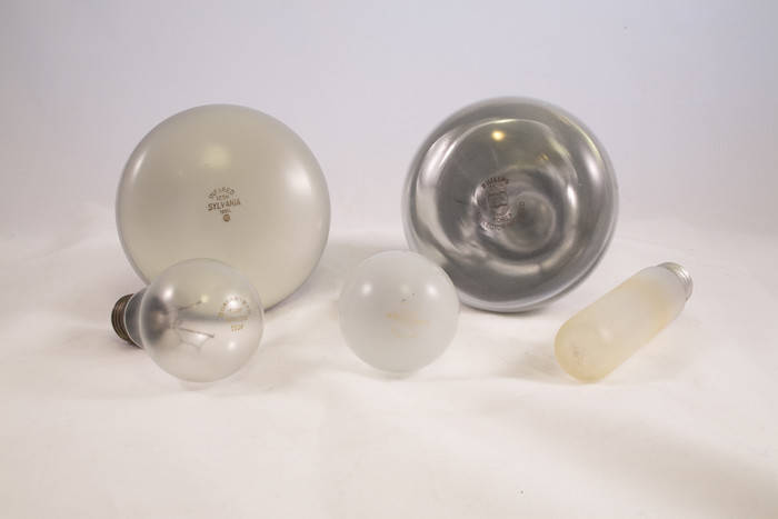 FluoroGlass® Coated Light Bulbs