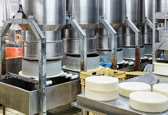 Cheese making facility